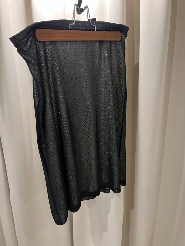 Express World Brand Black Sequined Skirt